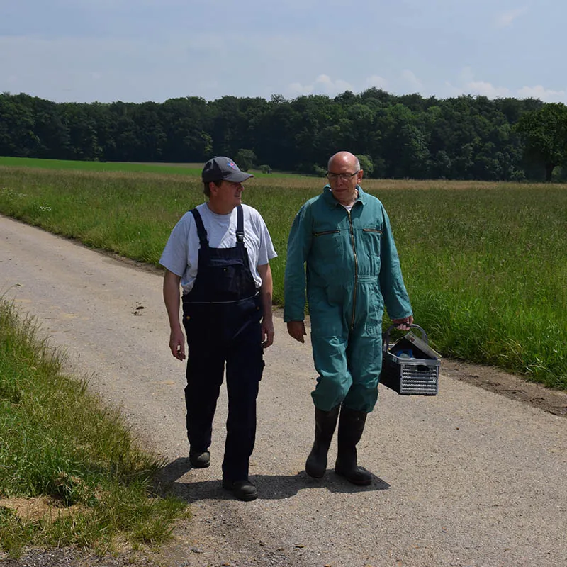 Zwei Landwirte auf dem Weg zum Stall